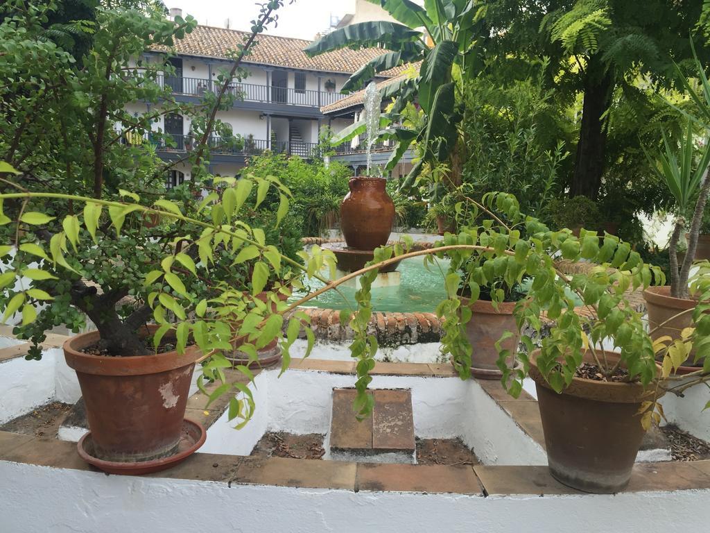 Oasis En El Centro De Sevilla Εξωτερικό φωτογραφία